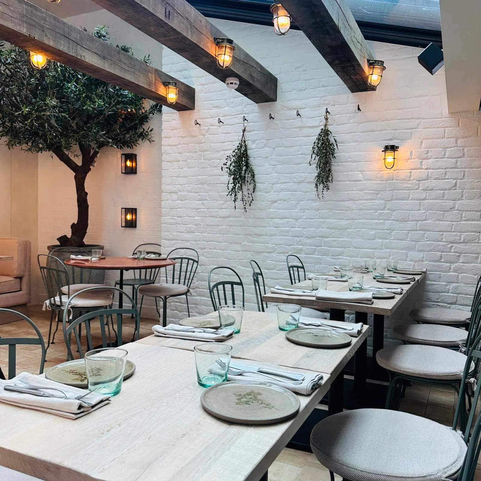 The dining room at Akub in Notting Hill, with a potted olive tree, whitewashed brick walls and bunches of dried herbs hanging above the tables