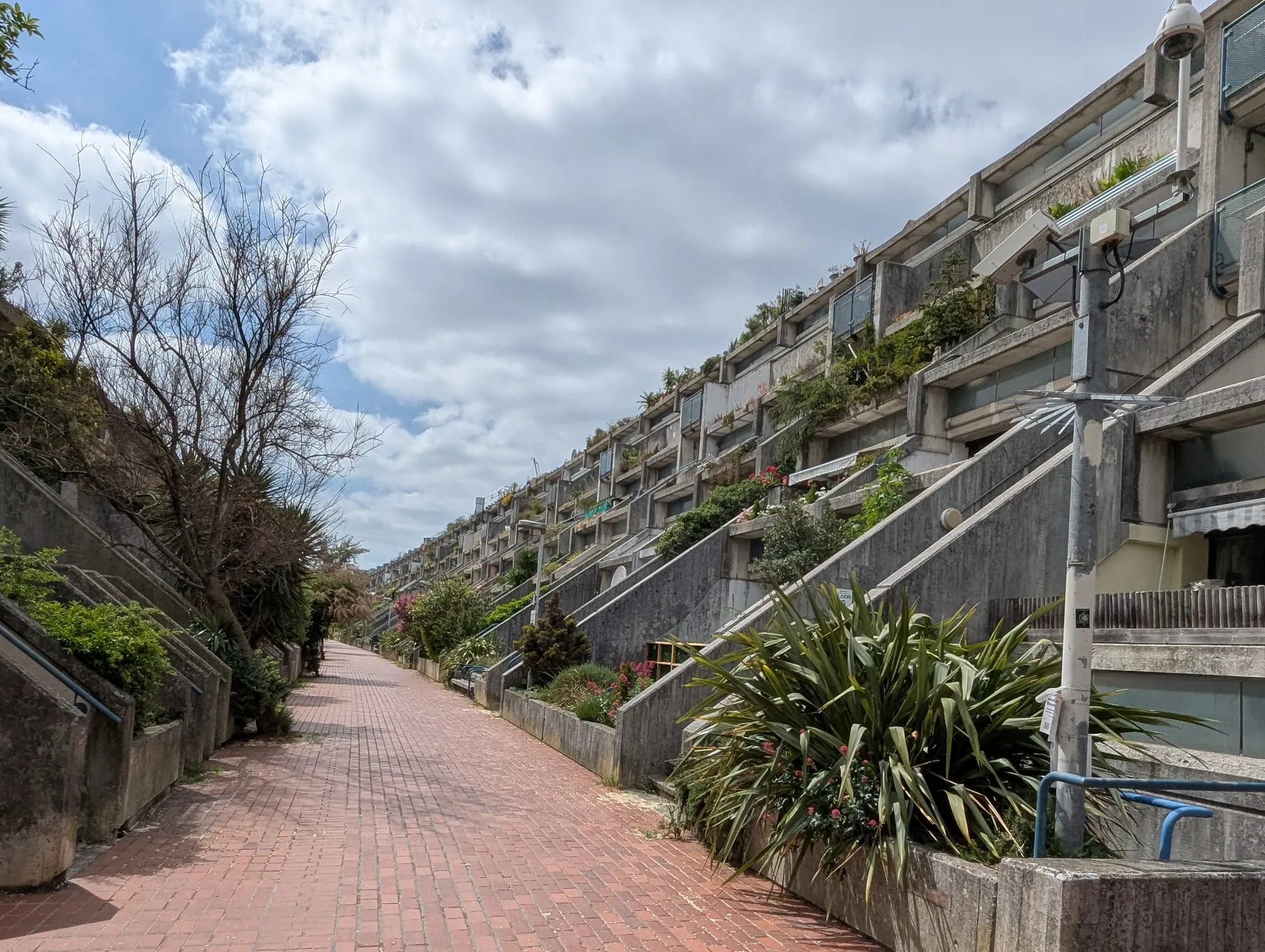 The stepped concrete terraces of the Alexandra Road Estate, planted with shrubs along a pedestrian street