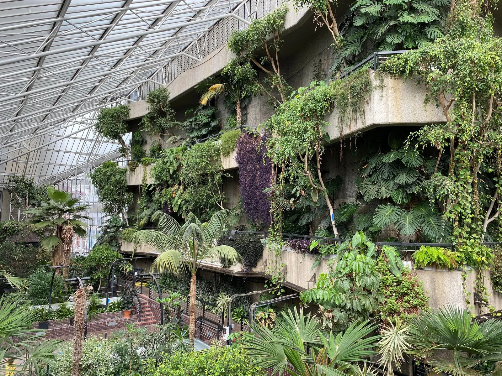 Palms, monstera and trailing vines spilling from the tiered concrete balconies of the Barbican Conservatory, under a steel-framed glass roof