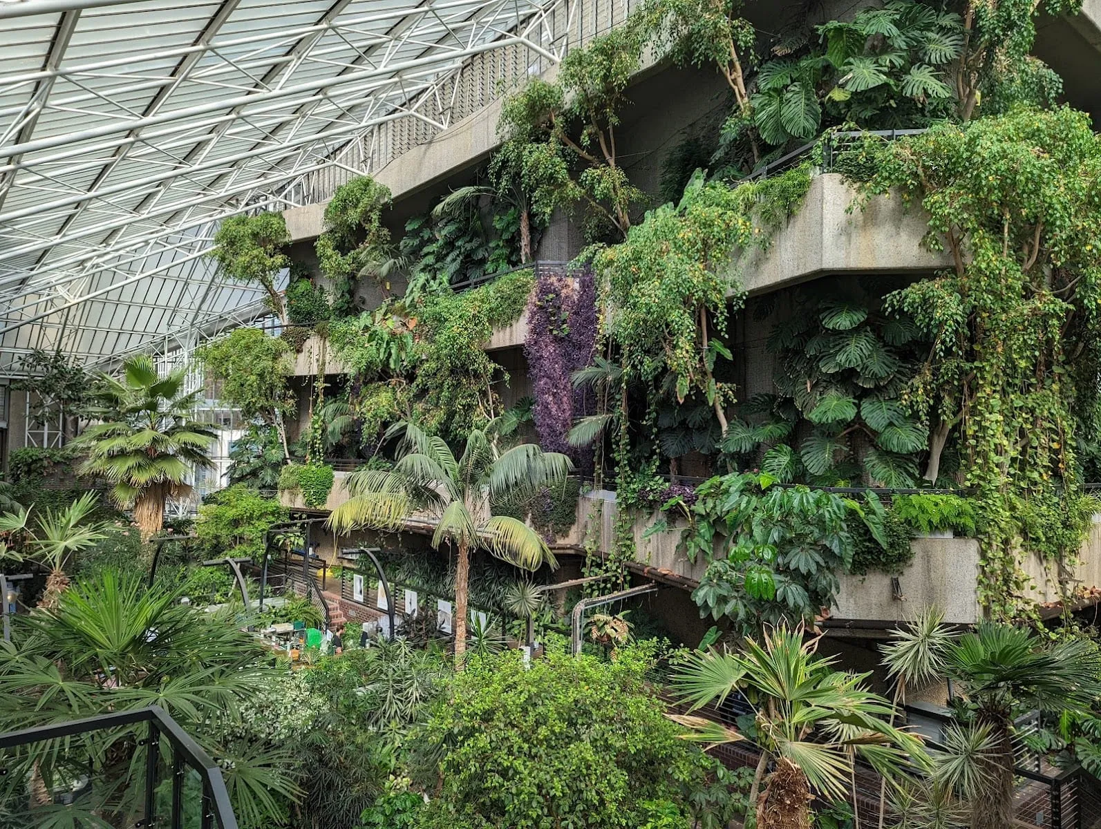Inside the Barbican Conservatory: palms, monstera and trailing plants spilling over tiers of concrete balconies under a steel and glass roof