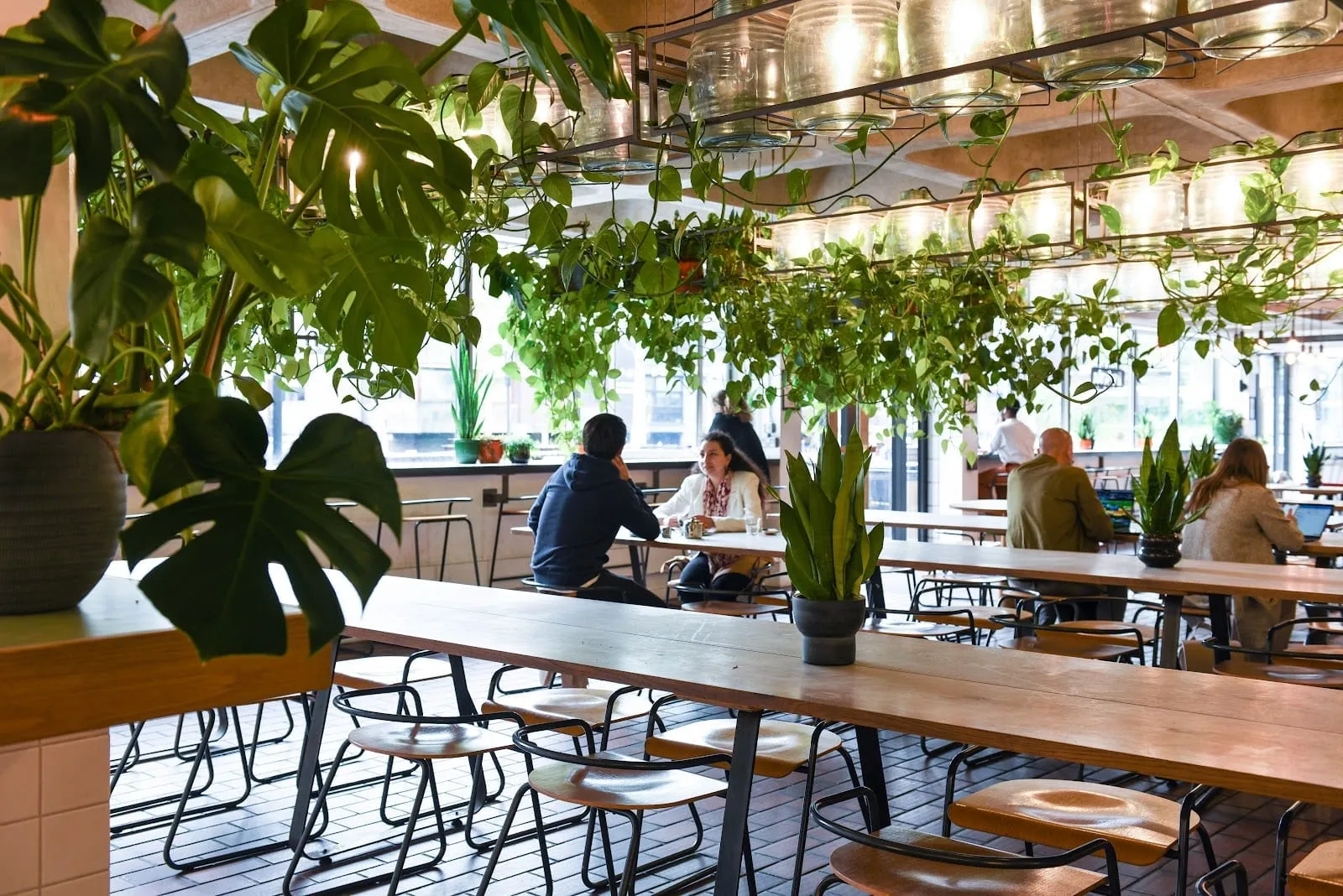 Barbican Kitchen: long wooden tables and stools under trailing plants and racks of glass-jar lights, with diners by the windows