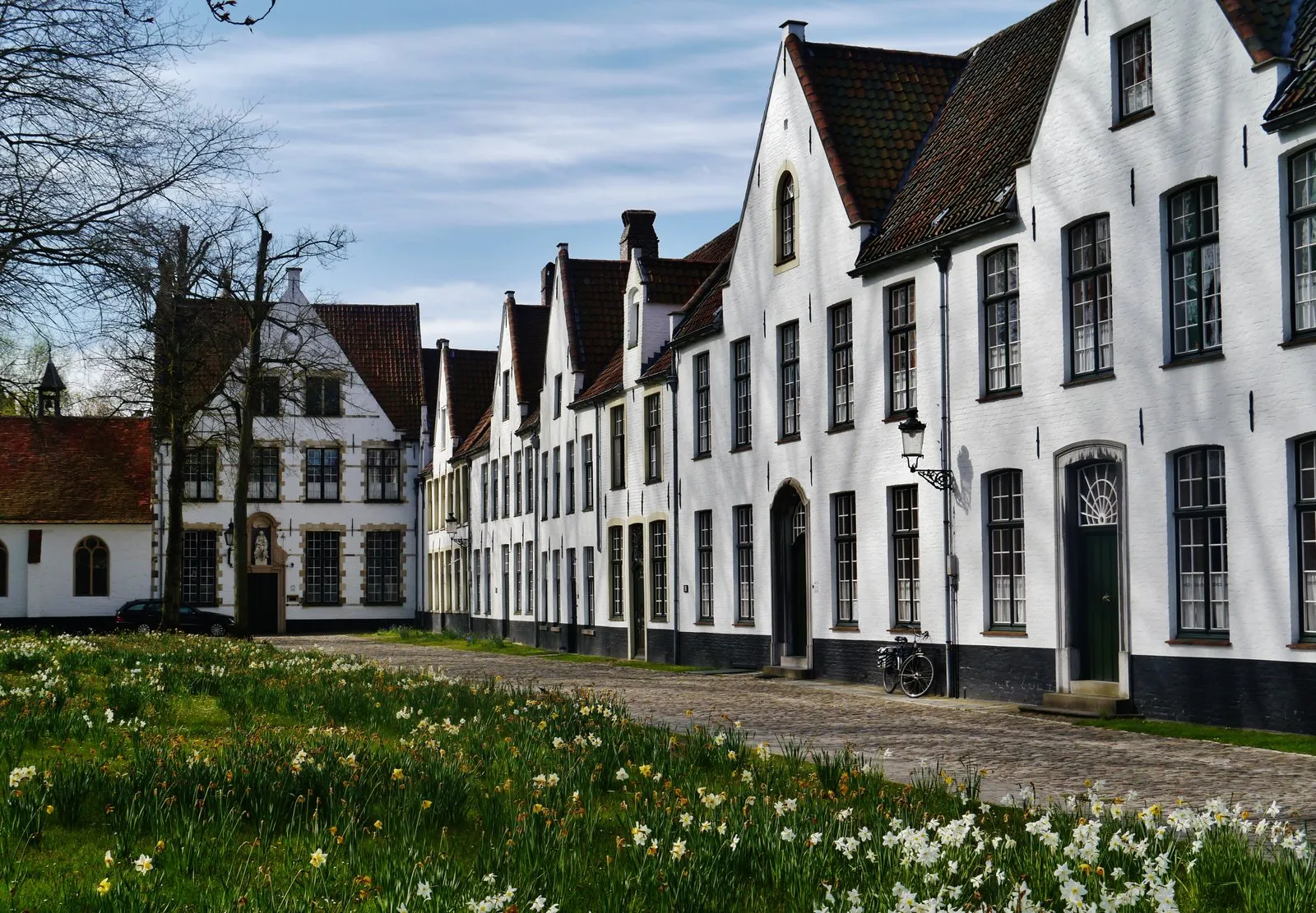 Whitewashed gabled houses along a cobbled lane in the Begijnhof in Bruges, with daffodils growing on the grass in front