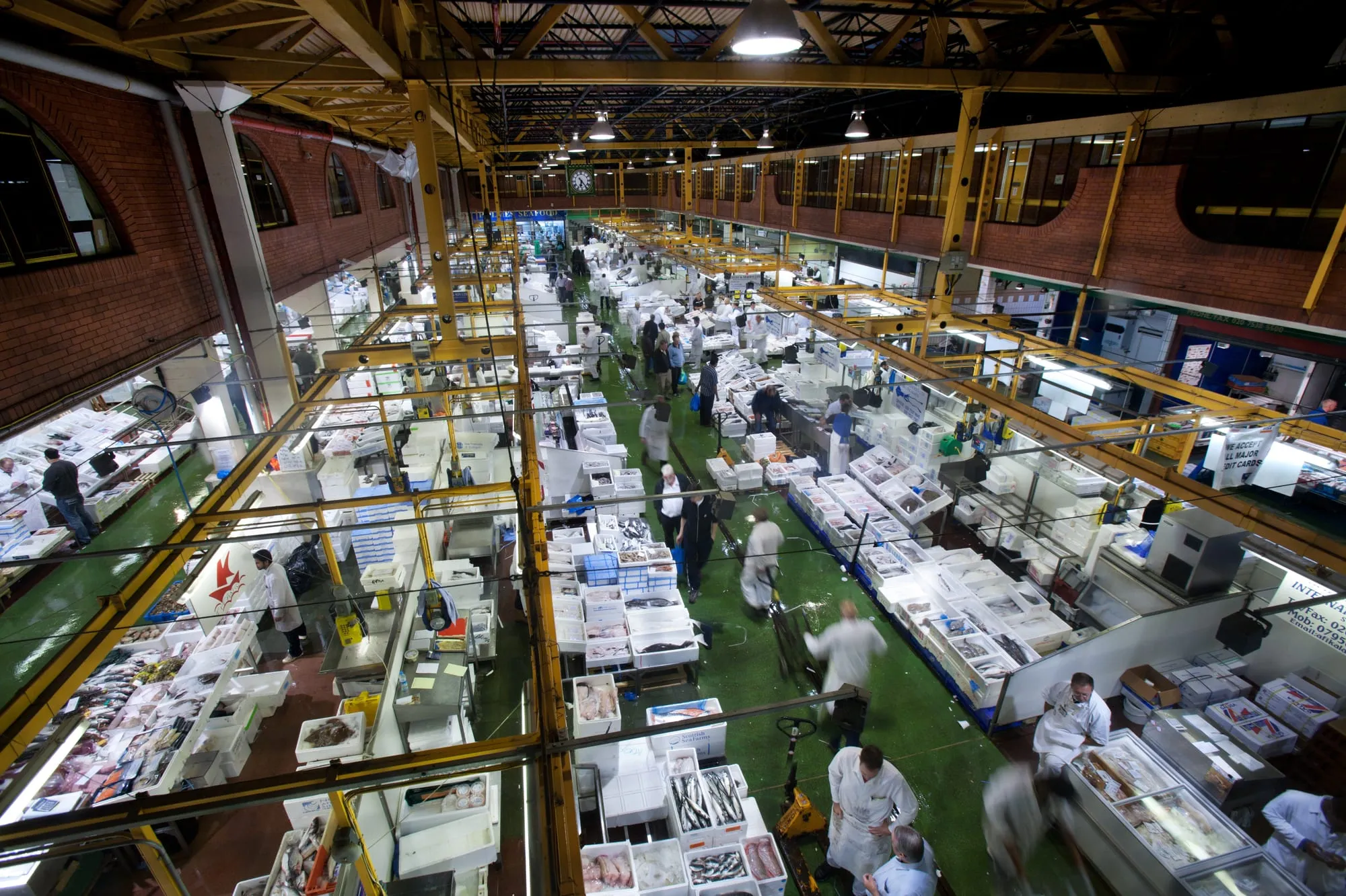 Crates of fish on ice at Billingsgate Fish Market in London before dawn