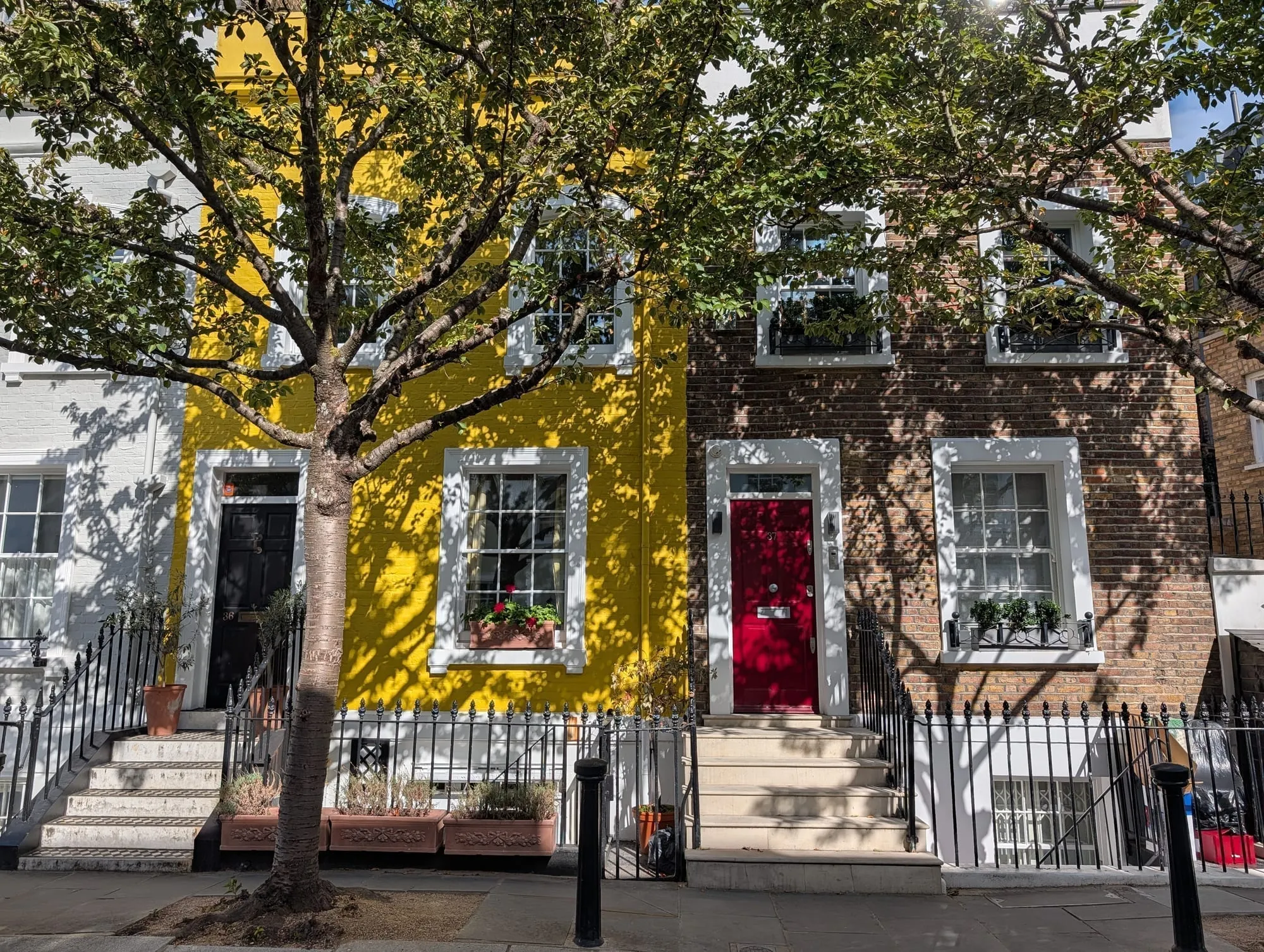 A bright yellow house with a red door on Bywater Street, between white and brown neighbours