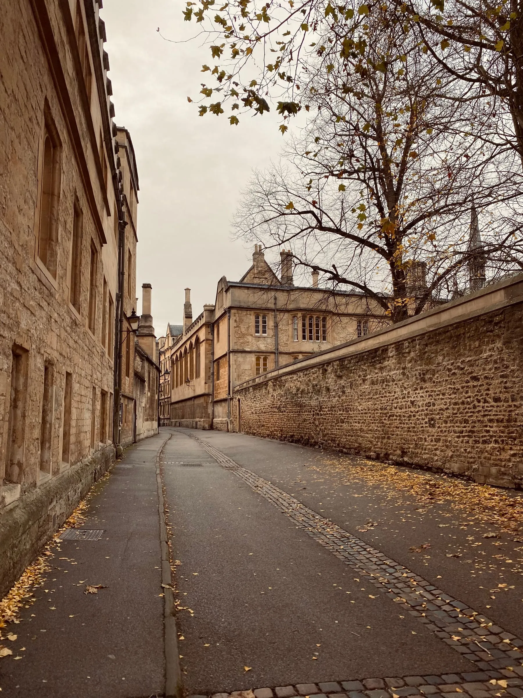 A narrow Oxford lane between a college wall and a stone boundary wall, autumn leaves on the pavement