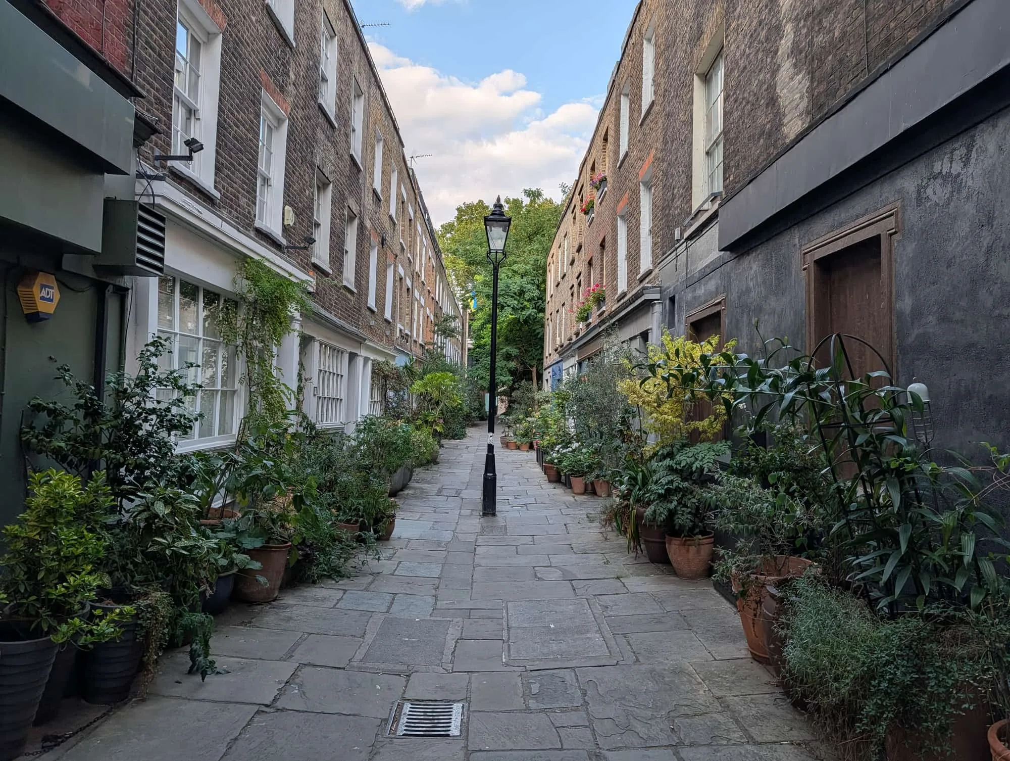 Colville Place, a narrow pedestrian lane of Georgian houses lined with potted plants