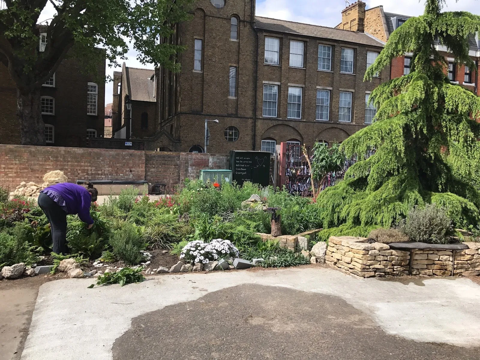 Inside the Cross Bones garden: a woman weeding the planted beds, a dry-stone wall and a cedar round a paved clearing, and the ribbon-covered gates behind, with brick buildings beyond