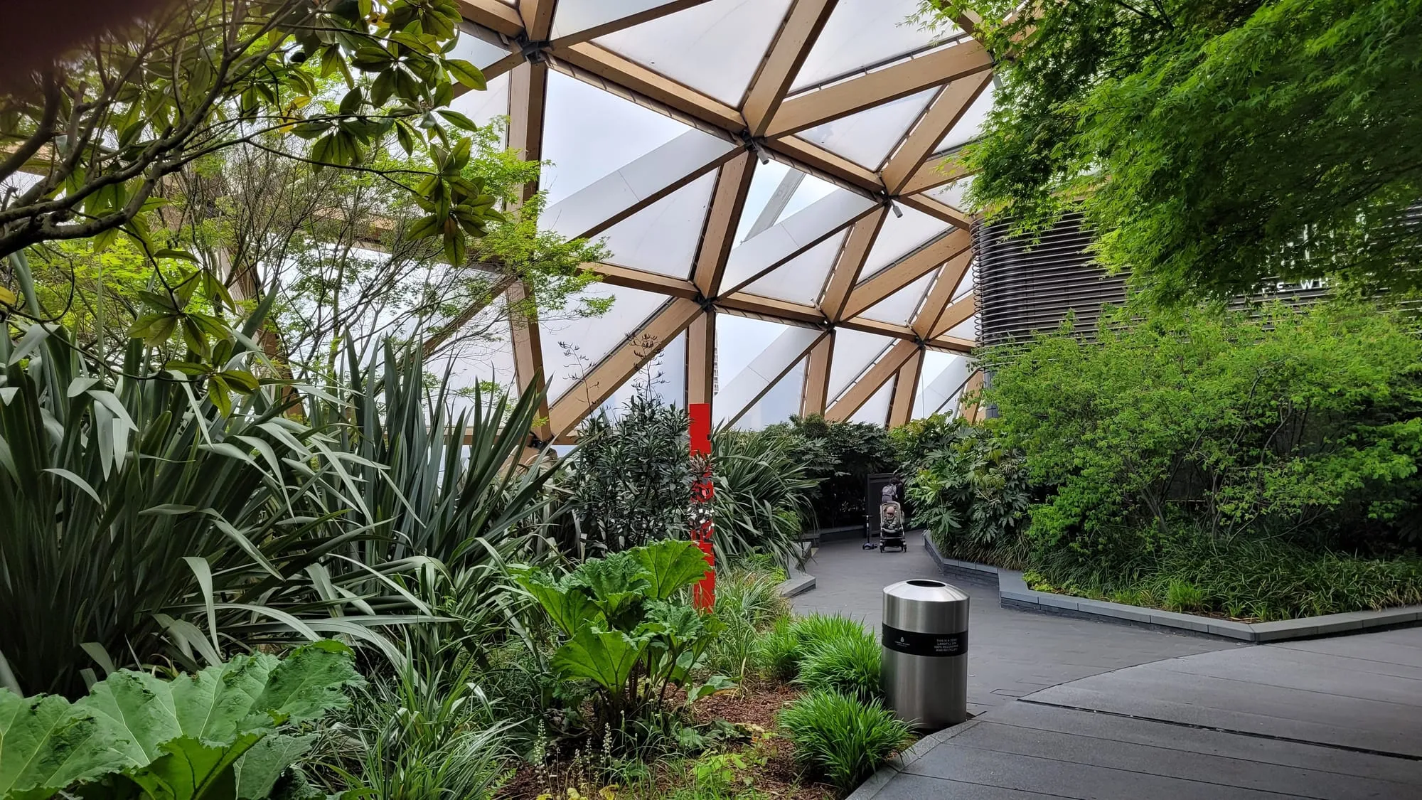 Inside the Crossrail Place Roof Garden, with dense planting beneath a triangulated timber and glass roof