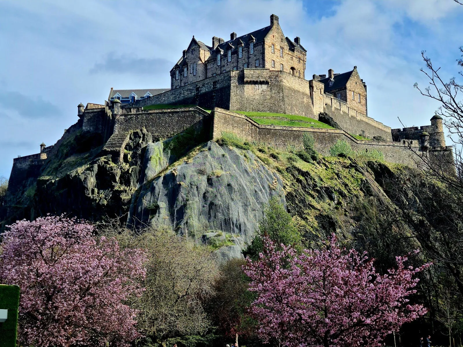 Edinburgh Castle on its volcanic rock, seen from below, with pink cherry blossom in the foreground