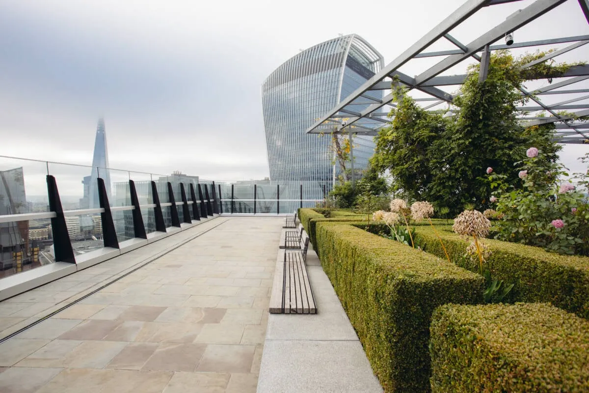 A paved roof terrace with a glass balustrade, timber benches and clipped box hedges, with the Shard in the haze and the Walkie-Talkie rising behind a vine-covered pergola