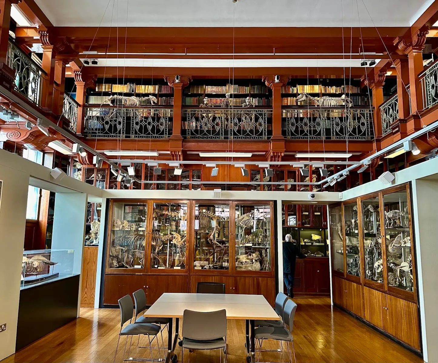 A cramped Victorian room at the Grant Museum, lined floor to ceiling with wooden cases of animal skeletons and specimens