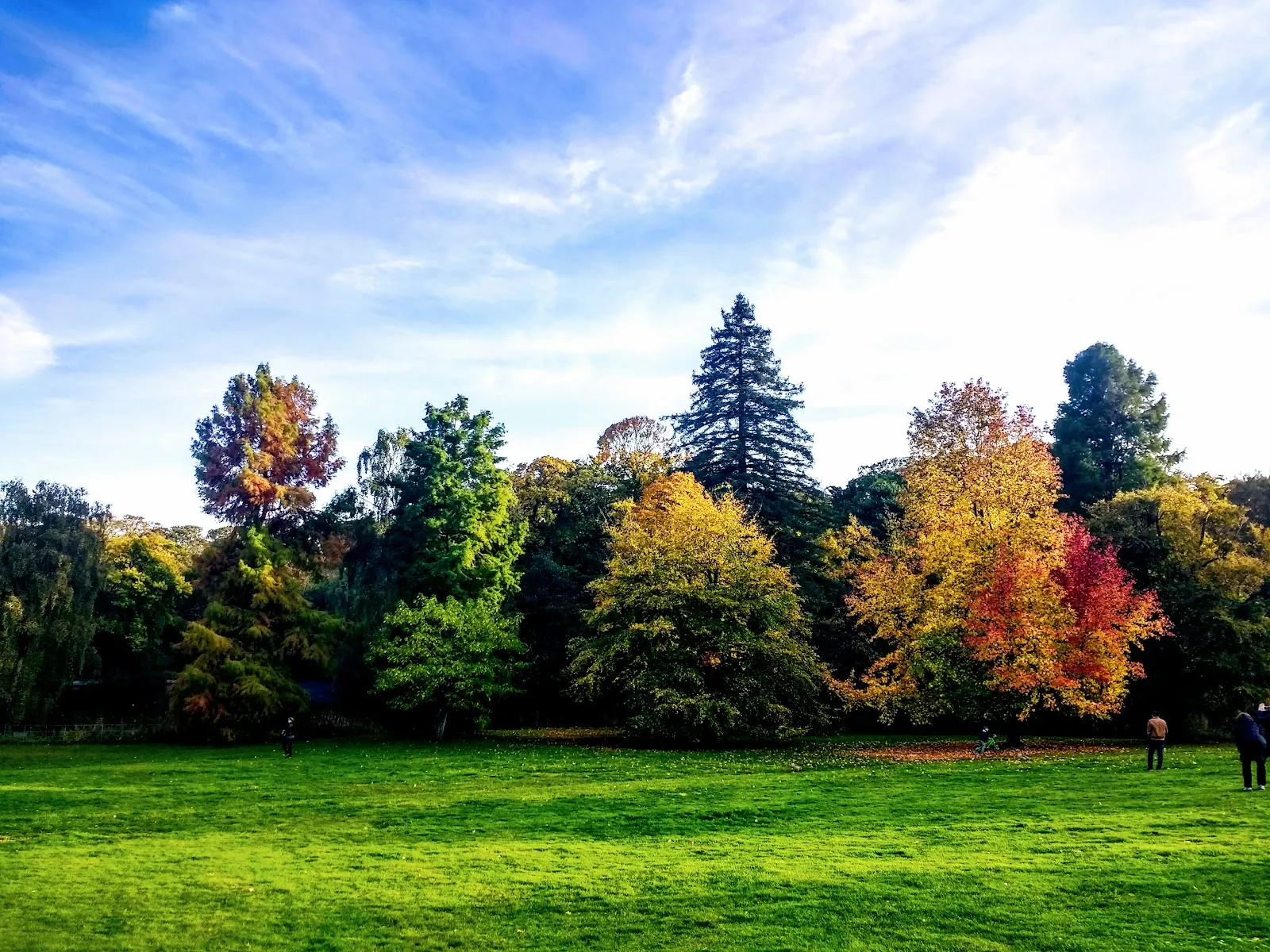 A meadow on Hampstead Heath bordered by trees in amber, gold and deep red
