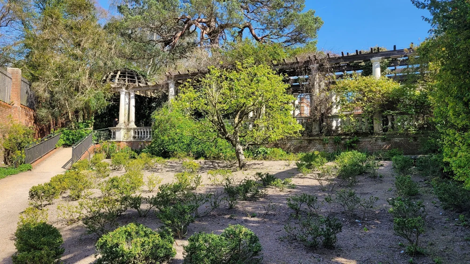 The raised colonnaded walkway of the Hill Garden Pergola, overgrown with climbing plants