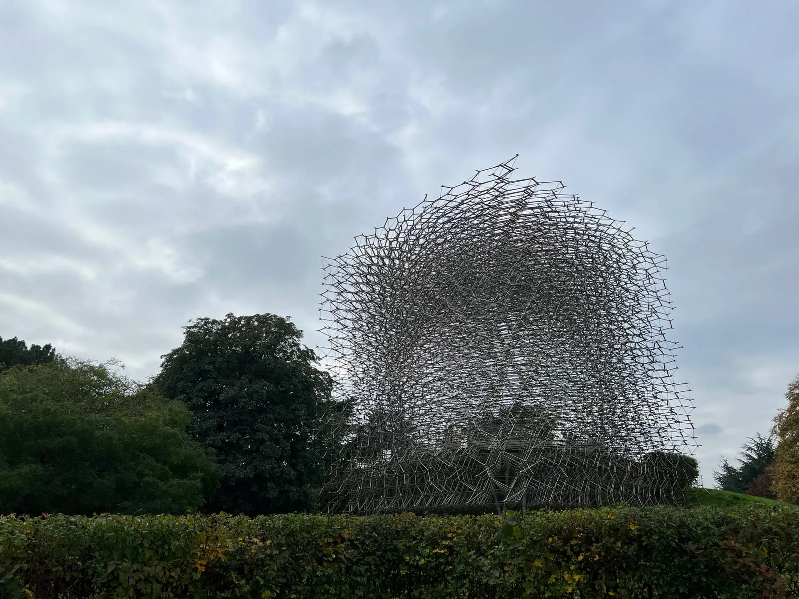 The intricate lattice structure of The Hive installation set amid wildflower meadow at Kew Gardens