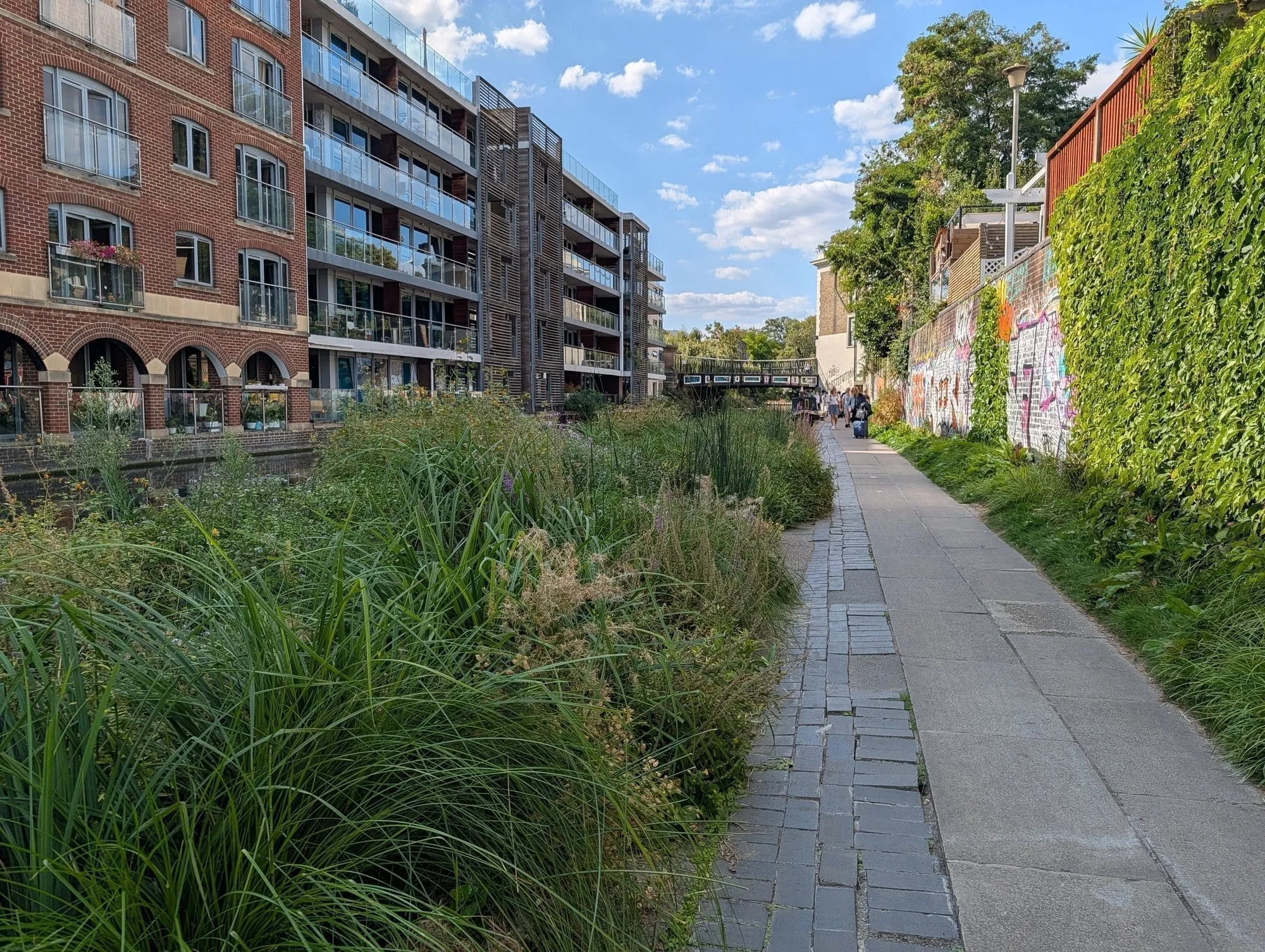 The Regent's Canal towpath near King's Cross, planted with reeds and wildflowers, running past redbrick apartment blocks