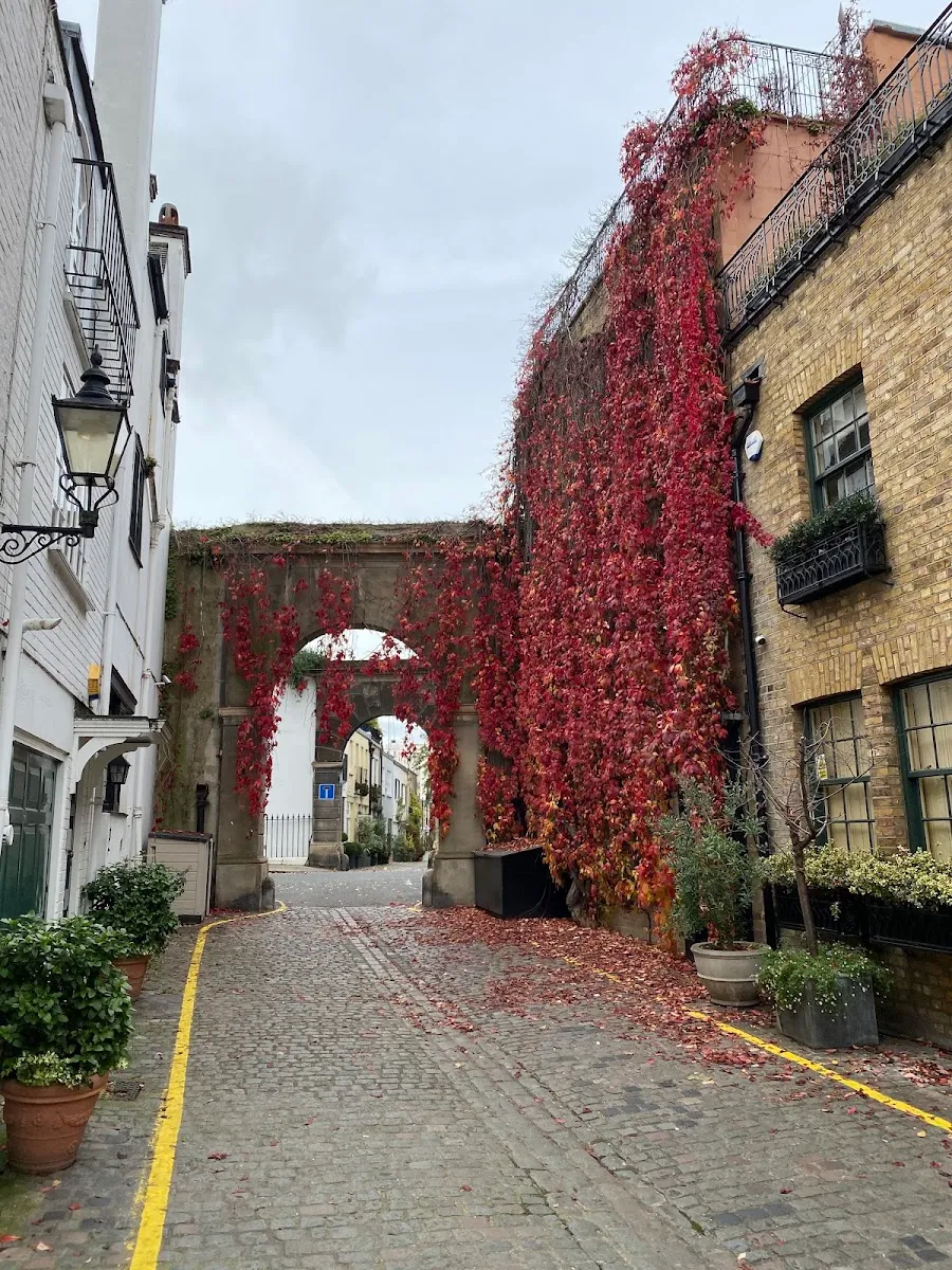 Red Virginia creeper hanging over a stone arch across a cobbled mews, fallen leaves on the setts below