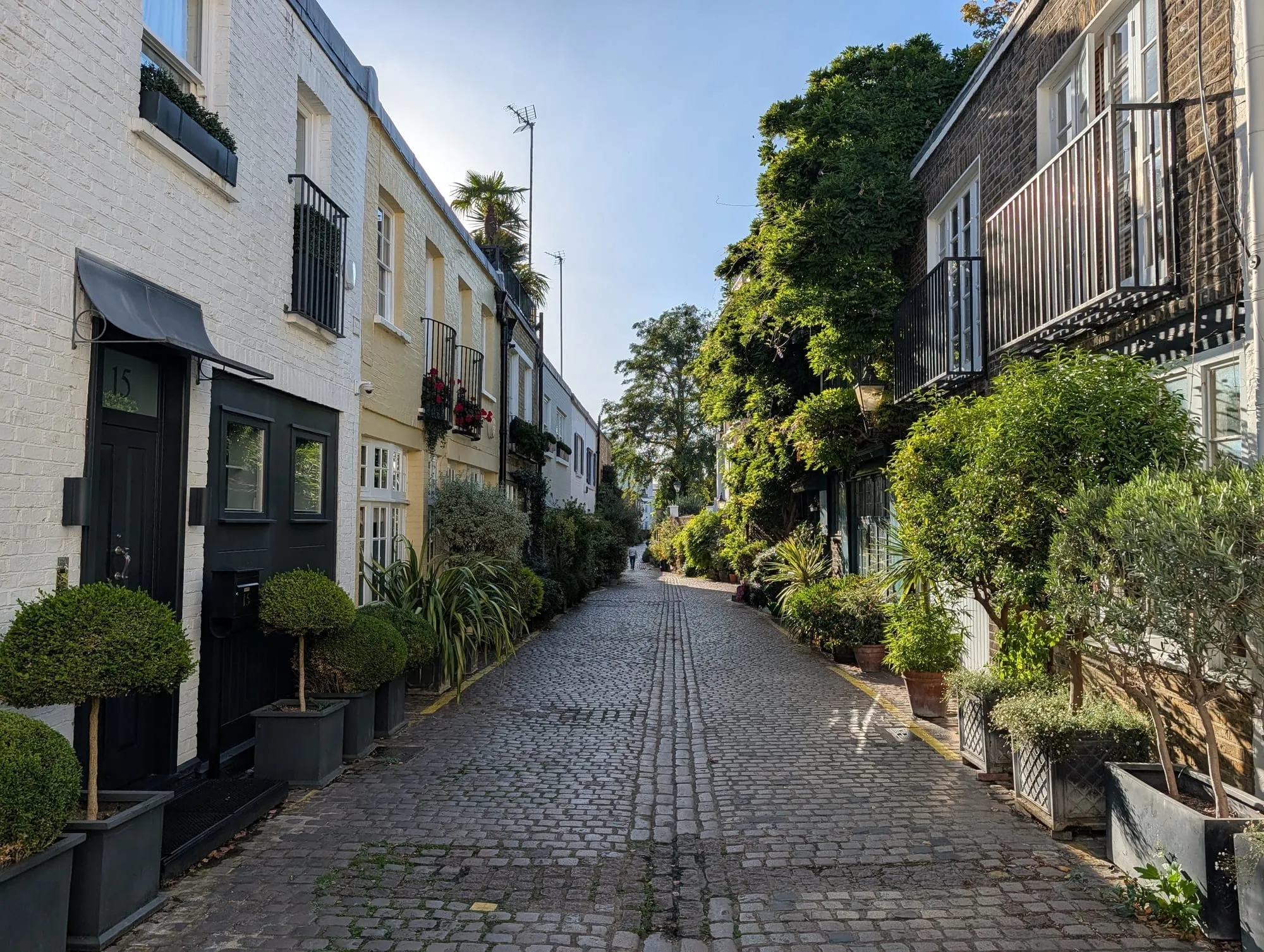 A cobbled mews of low white houses hung with climbing plants and window boxes