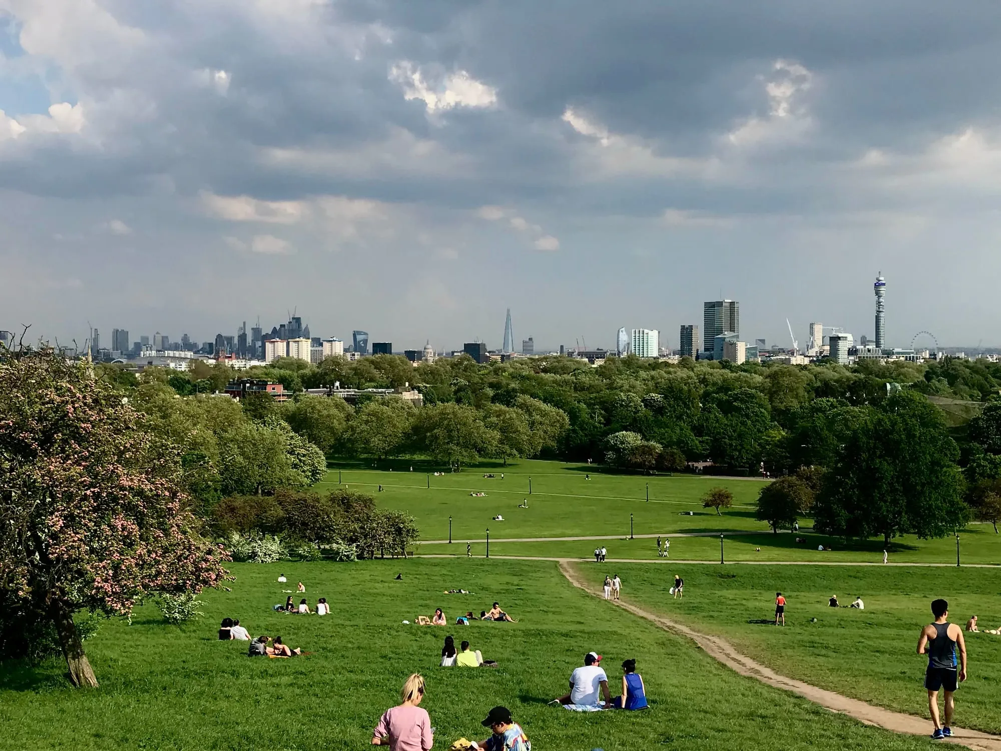 People relaxing and picnicking on the grass of Primrose Hill on a sunny afternoon, with a blossoming pink tree in the foreground and the London skyline - the BT Tower, the Shard and the City's skyscrapers - spread out beyond the park's trees