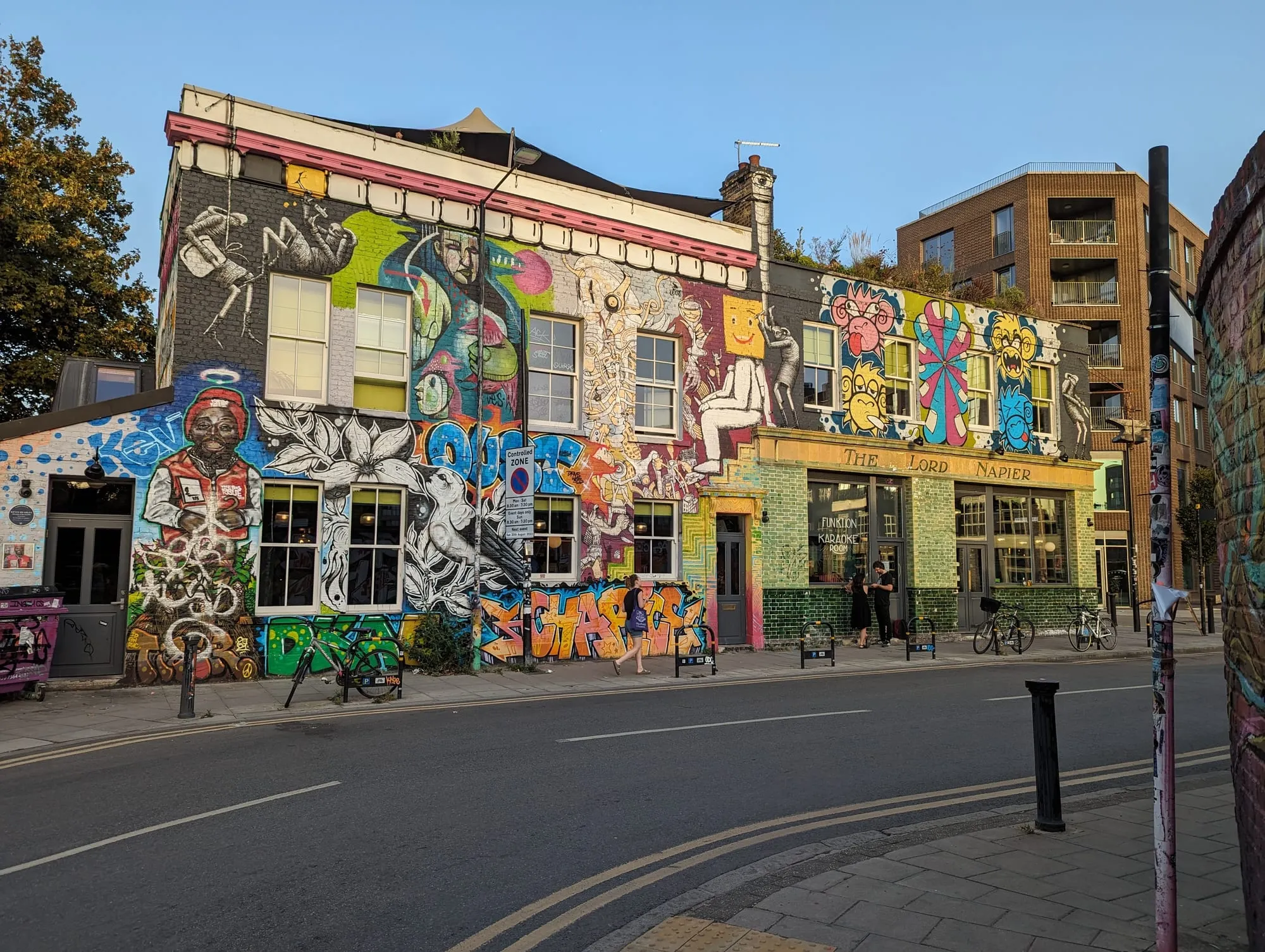 The Lord Napier Star pub in Hackney Wick, covered from roof to pavement in street art