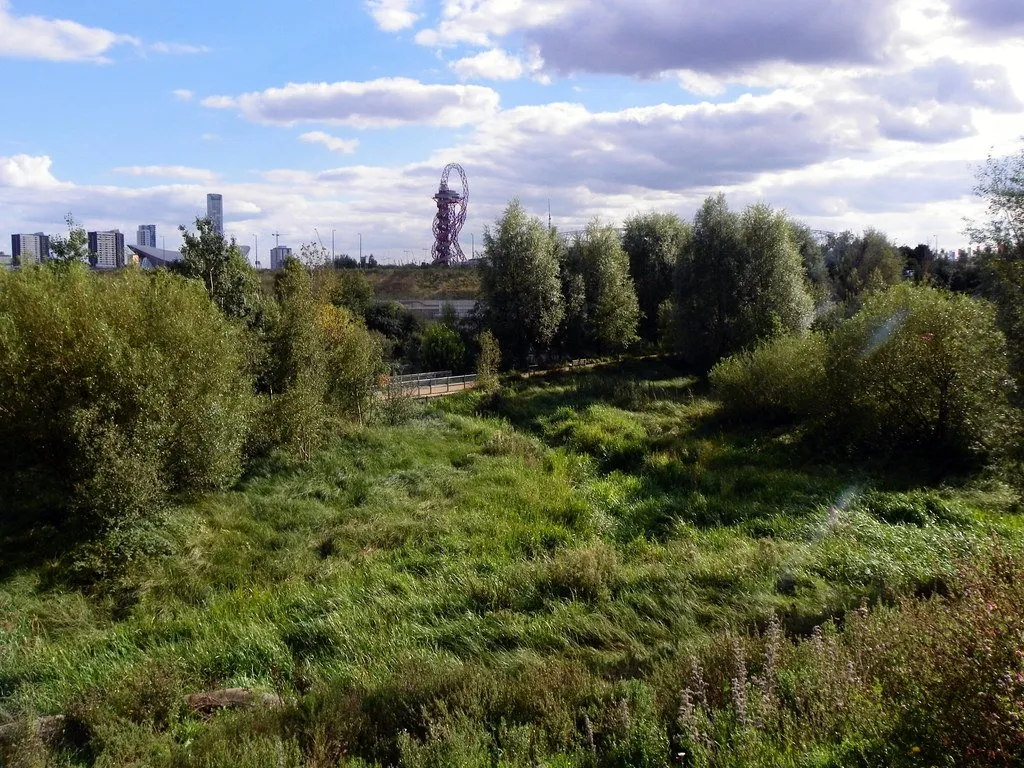 Wetland planting along the River Lea in the Queen Elizabeth Olympic Park, with the ArcelorMittal Orbit beyond
