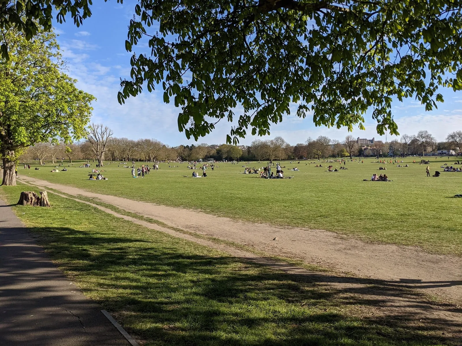 A wide grass common dotted with groups of people sitting and picnicking under trees on a sunny day