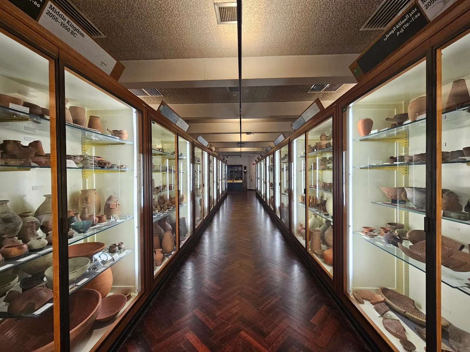 A narrow corridor lined with glass cases of ancient Egyptian pottery, bowls and tools at the Petrie Museum