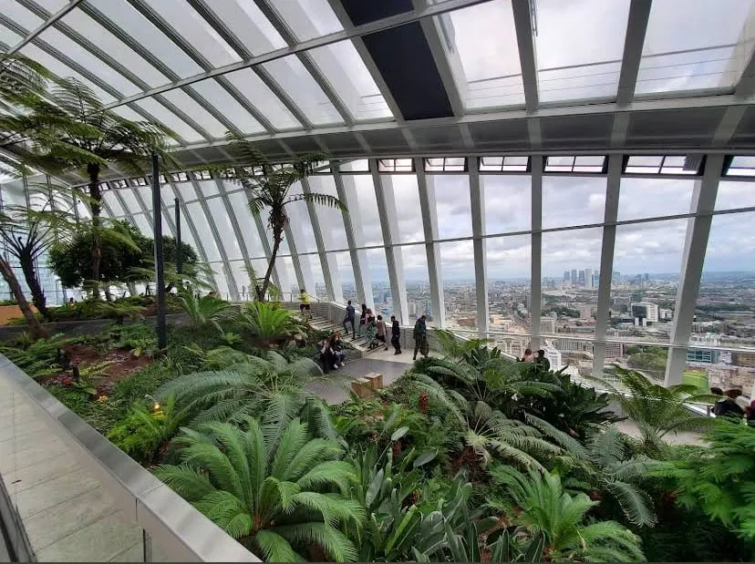 Dense ferns, cycads and palms on stepped beds under the glass roof, with visitors on the stairs and east London beyond the windows