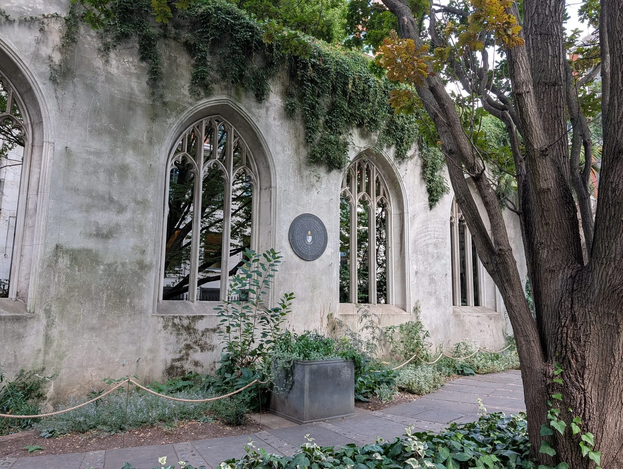The Gothic window tracery of St Dunstan in the East standing roofless, ivy growing over the walls and planting along the base