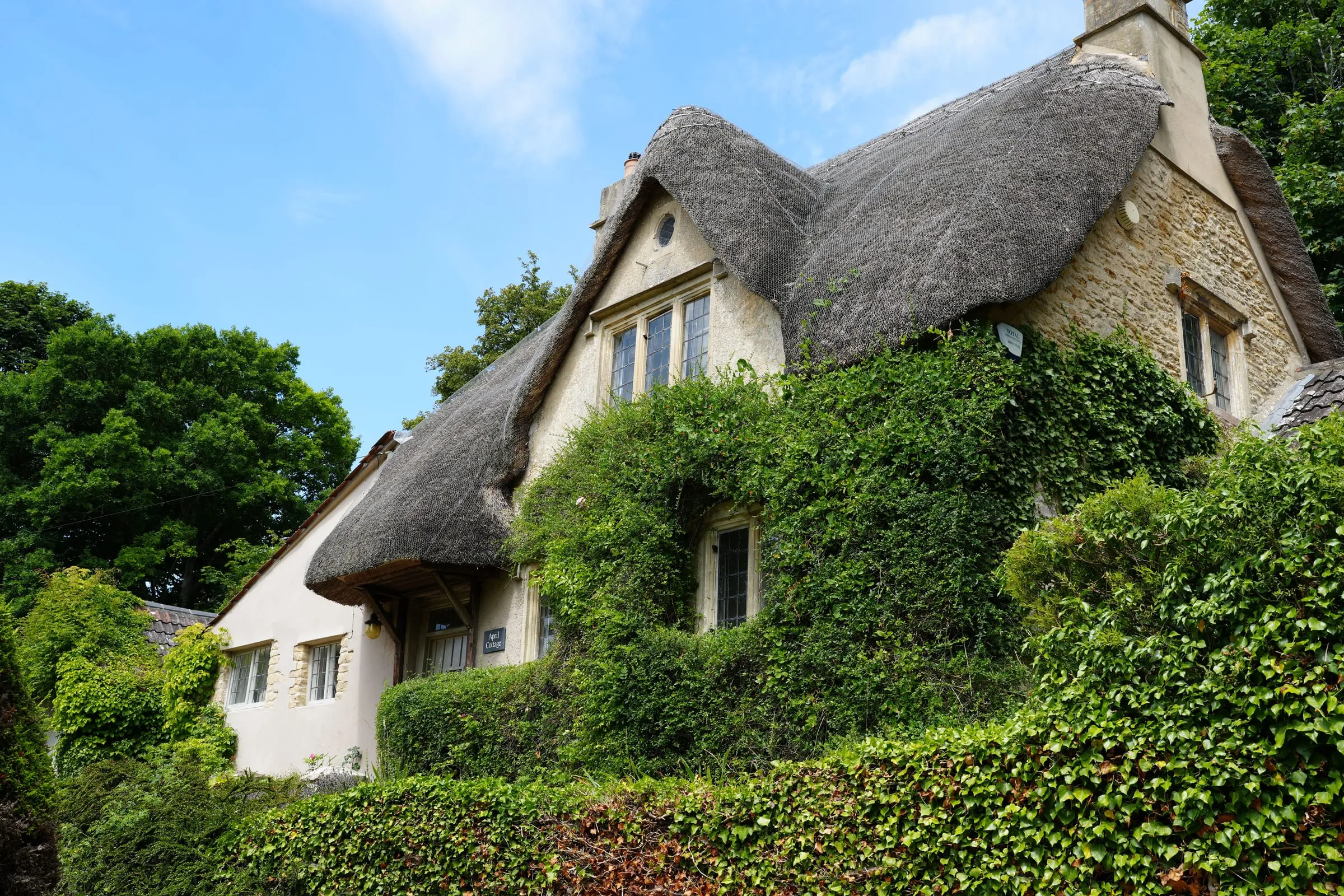 A thatched Cotswold cottage almost buried in ivy and hedging under a blue sky