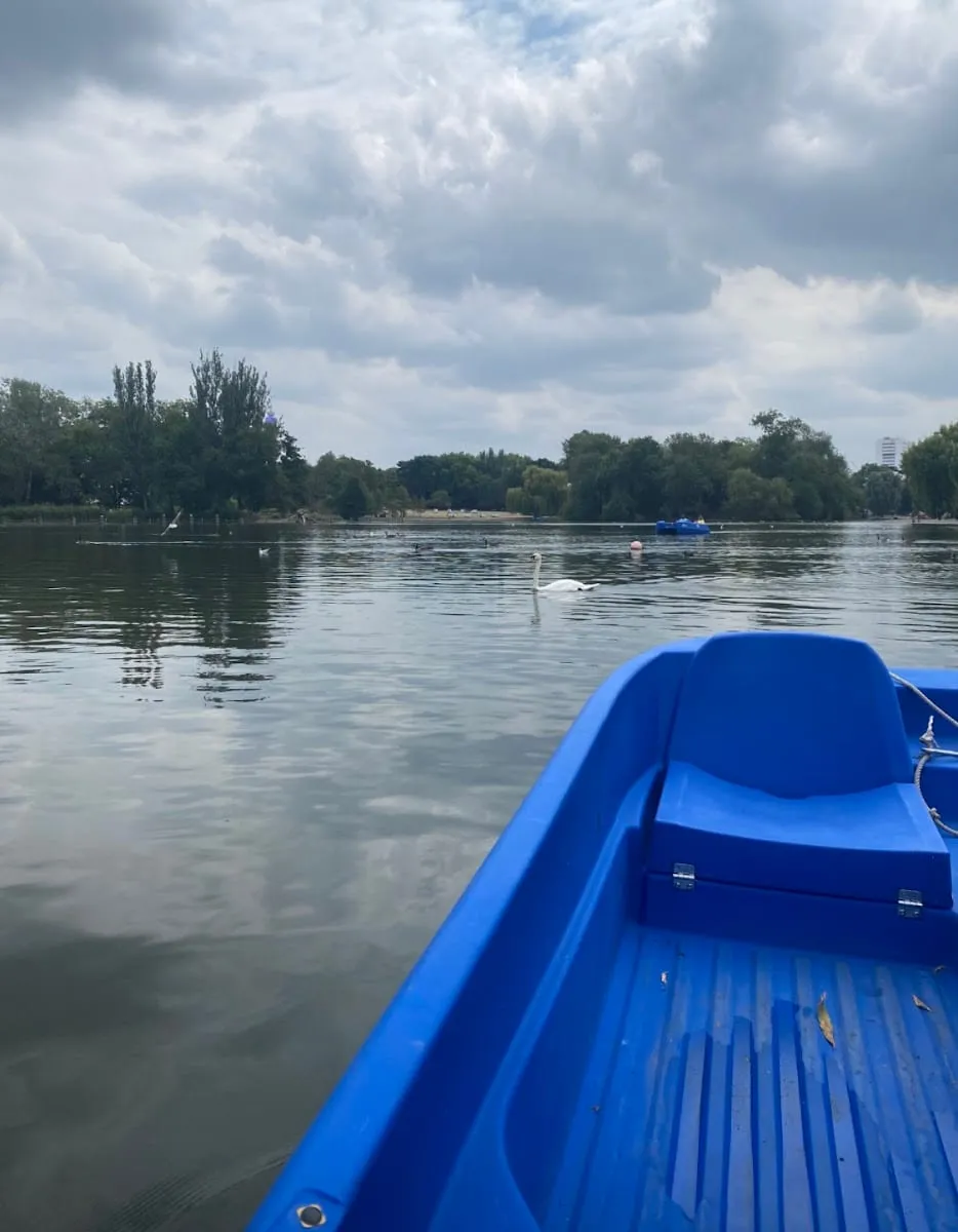 A blue pedal boat out on the boating lake, with a swan swimming past and trees lining the far shore