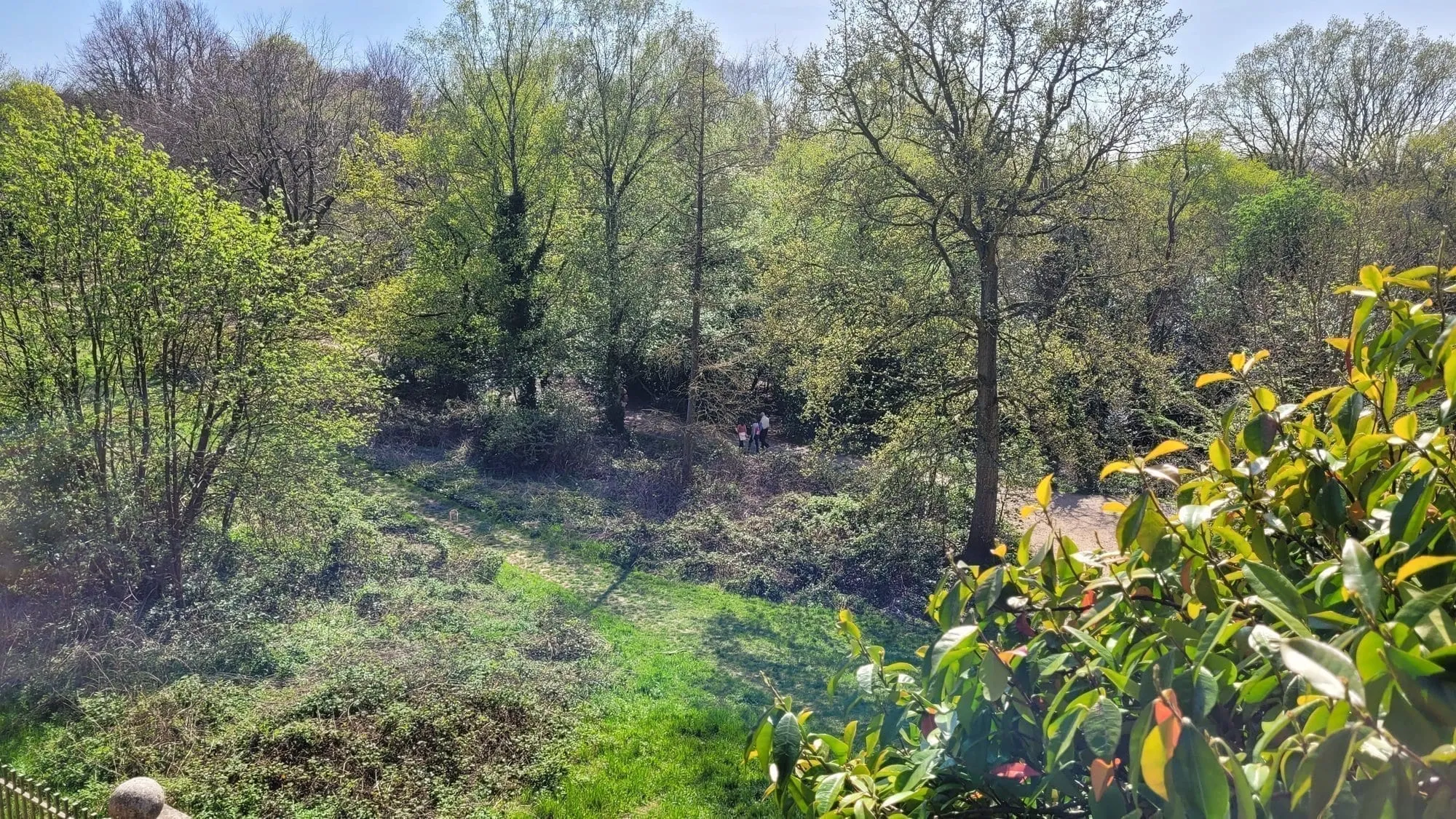 A green, tree-lined dell on Hampstead Heath near the Vale of Health, with two walkers on the path below